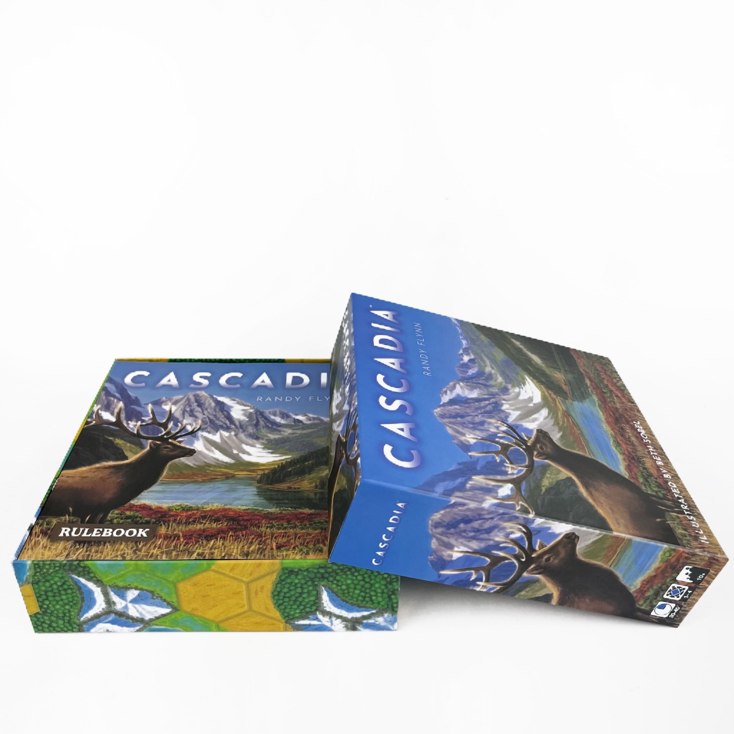 Gioco da Tavolo Cascadia |   G - Board Game Harmonies recensione e prezzo