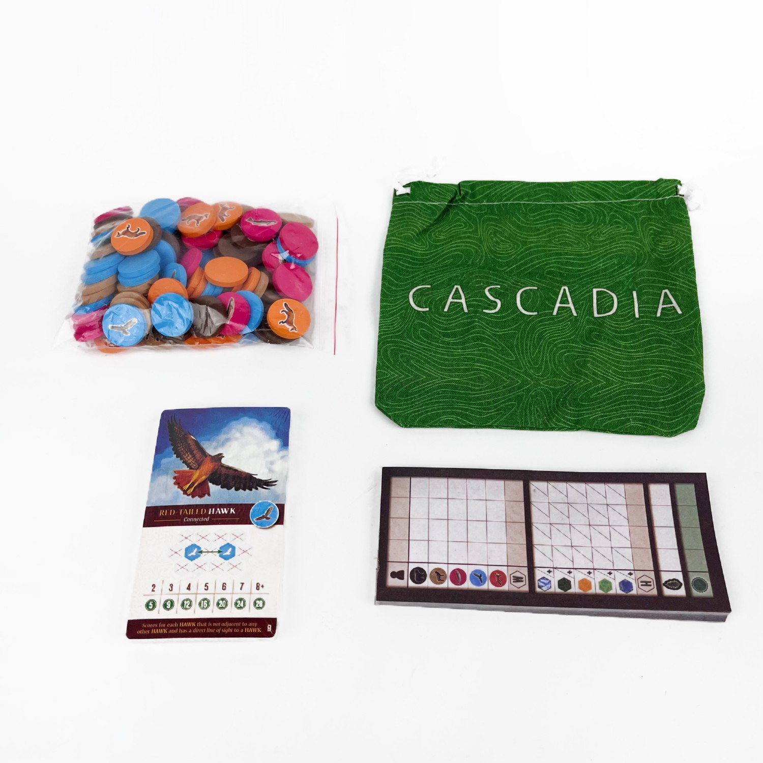Gioco da Tavolo Cascadia |   G - Board Game Harmonies recensione e prezzo
